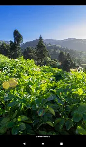 Photo Frame screenshot 11