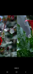 Photo Frame screenshot 4