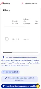 Art Montgolfières screenshot 1