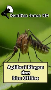 Mosquito Sounds screenshot 0