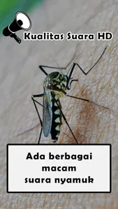 Mosquito Sounds screenshot 2