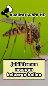 Mosquito Sounds screenshot 3