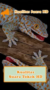 Gecko Sounds screenshot 0