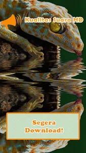 Gecko Sounds screenshot 3