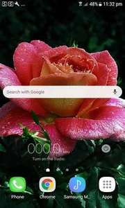 Dewy Shine Rose LWP screenshot 1