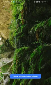 Rainy Plants Live Wallpaper screenshot 0