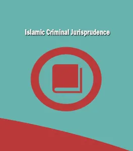 Islamic Criminal Jurisprudence screenshot 3
