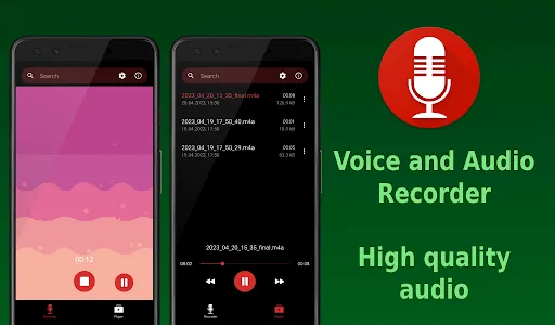 Voice Recorder (sound) screenshot 0