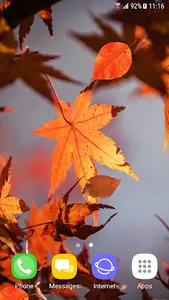 Beautiful Autumn Live Wallpape screenshot 1