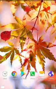 Beautiful Autumn Live Wallpape screenshot 6