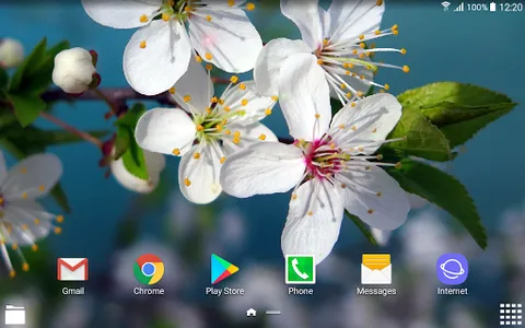 Beautiful Spring Wallpapers screenshot 7