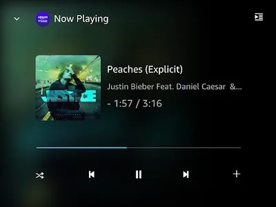 Amazon Music screenshot 21