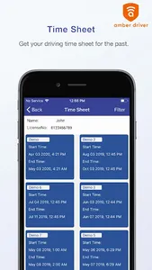 Amber Driver screenshot 3