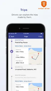 Amber Driver screenshot 7