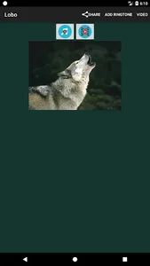 Animal sound ringtones free screenshot 16