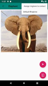 Animal sound ringtones free screenshot 5