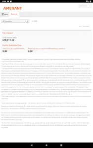Amerant Investments screenshot 4