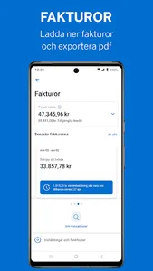 Amex SE screenshot 1