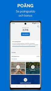 Amex SE screenshot 4