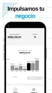 Amigo exxpres screenshot 2