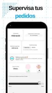 Amigo exxpres screenshot 4