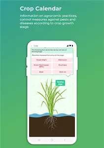 Punjab Agro - Kisan App screenshot 17