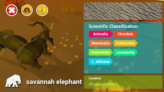 Animals on the planet screenshot 2