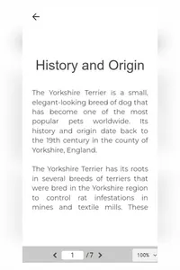 Dog Breed - Yorkshire Terrier screenshot 15