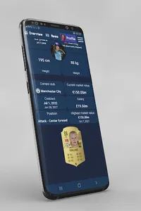 Haaland Stats screenshot 14