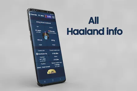 Haaland Stats screenshot 3