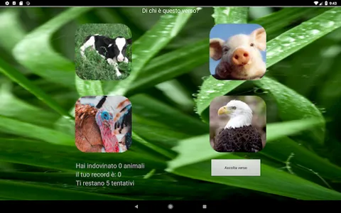 ZooDroid screenshot 3