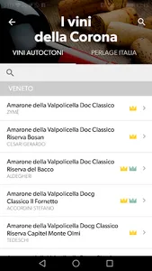 Vinibuoni d'Italia - the guide screenshot 3