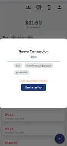 PayLatam screenshot 1