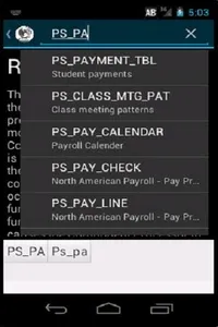 My Basic PeopleSoft Knowledge screenshot 4