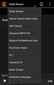 Classical Music Radio screenshot 2