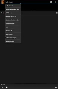 Classical Music Radio screenshot 4