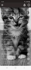 Cats sounds screenshot 10