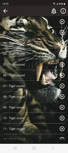 Cats sounds screenshot 11