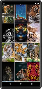 Tiger Wallpapers | Cool tigers screenshot 6