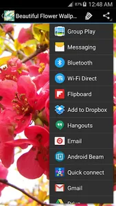 Flower Wallpapers HD screenshot 3