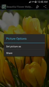 Flower Wallpapers HD screenshot 4
