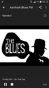 Blues music radio screenshot 4