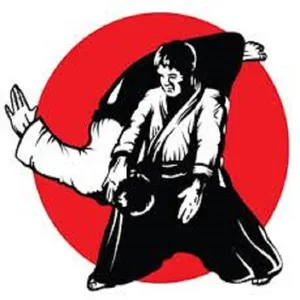aikido screenshot 0