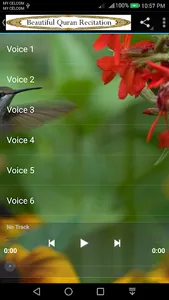 Beautiful Quran Recitation 2 screenshot 4