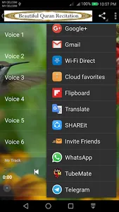 Beautiful Quran Recitation 2 screenshot 8