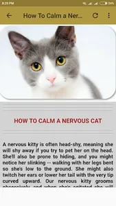 General Cat Care screenshot 3
