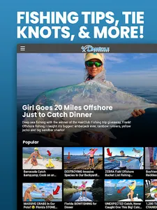 Darcizzle Offshore screenshot 12