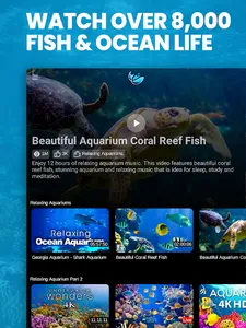 Just Aquarium TV screenshot 11