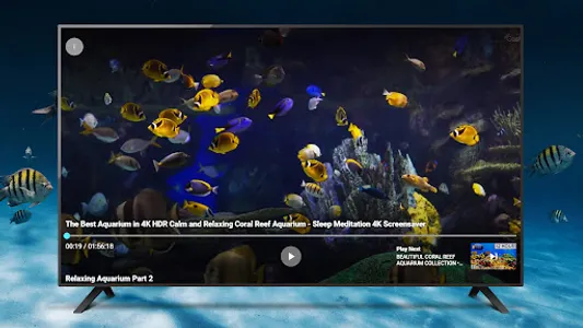 Just Aquarium TV screenshot 16
