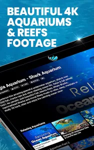 Just Aquarium TV screenshot 5